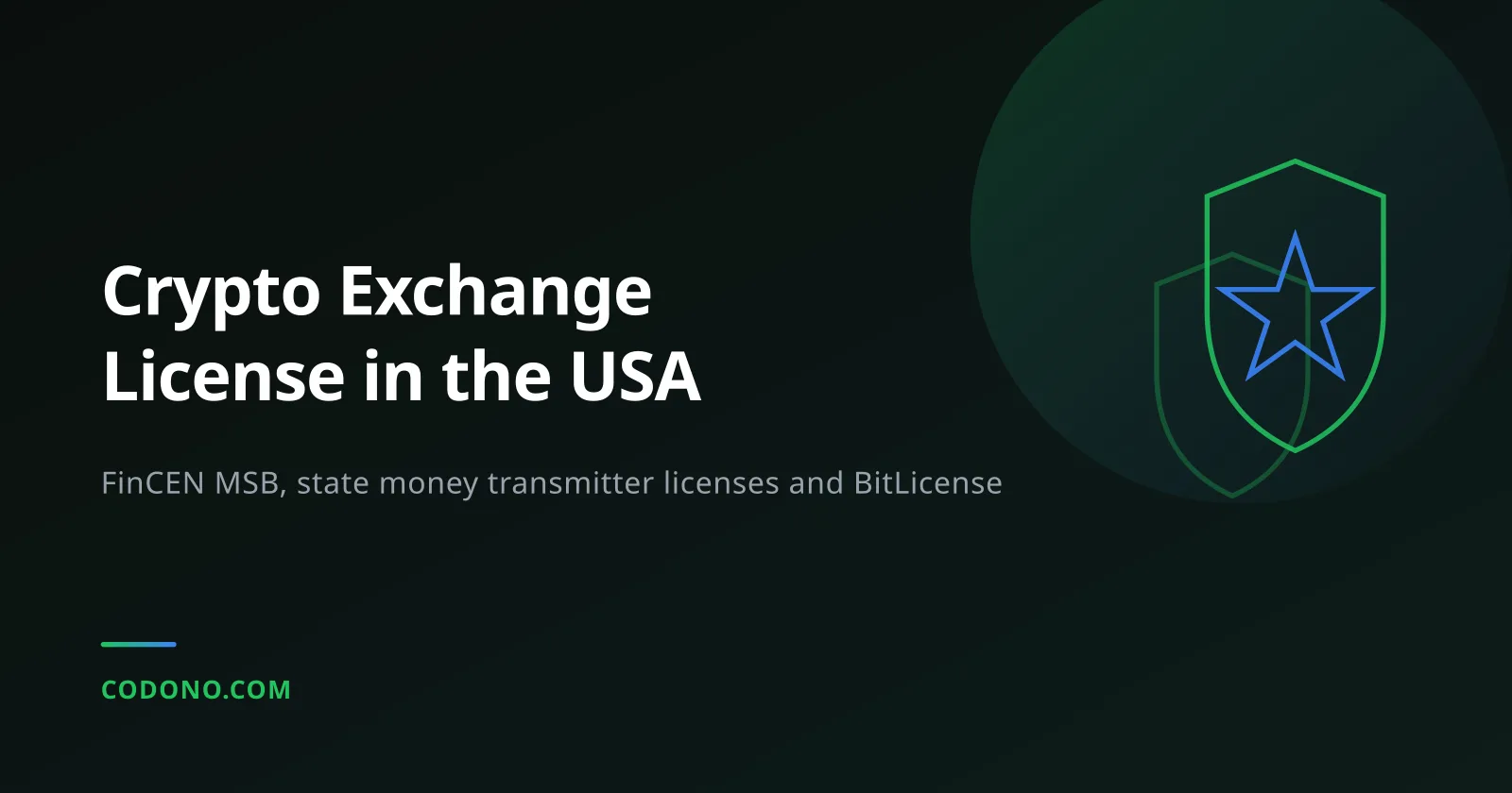 Crypto Exchange License USA: MSB, State MTLs and BitLicense
